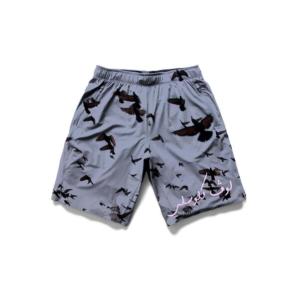 Birds in Flight Shorts